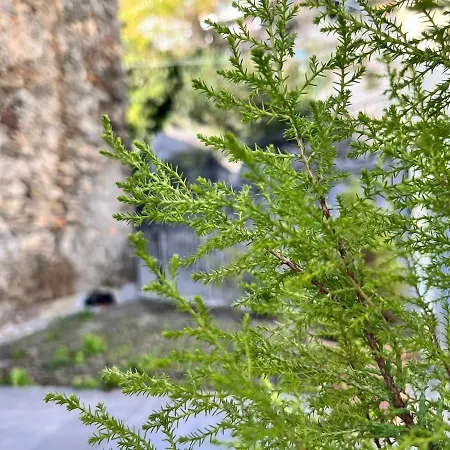 Ferienhaus Weinrose - Natura Monti Montemezzo